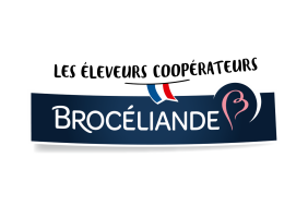 Brocéliande