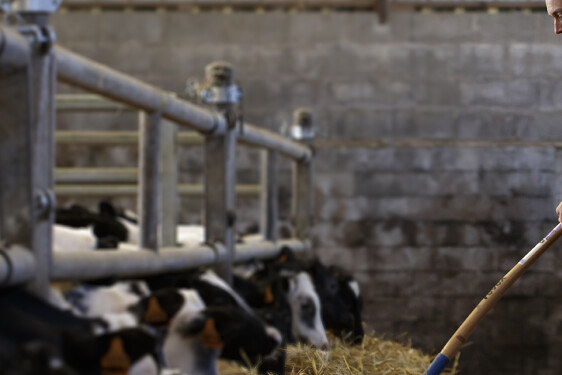 Cooperl Groupement d'éleveurs bovins